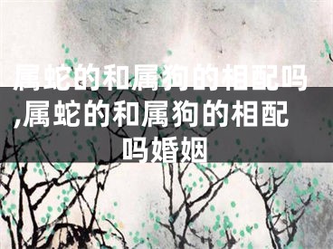 属蛇的和属狗的相配吗,属蛇的和属狗的相配吗婚姻