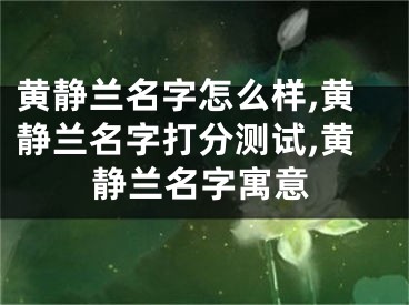 黄静兰名字怎么样,黄静兰名字打分测试,黄静兰名字寓意