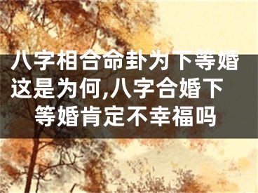 八字相合命卦为下等婚这是为何,八字合婚下等婚肯定不幸福吗