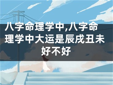 八字命理学中,八字命理学中大运是辰戌丑未好不好