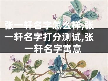 张一轩名字怎么样,张一轩名字打分测试,张一轩名字寓意