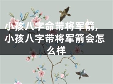 小孩八字命带将军箭,小孩八字带将军箭会怎么样