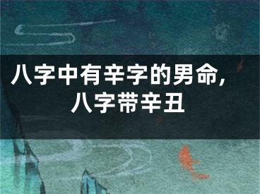 八字中有辛字的男命,八字带辛丑