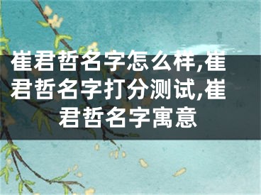 崔君哲名字怎么样,崔君哲名字打分测试,崔君哲名字寓意
