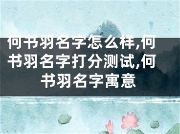 何书羽名字怎么样,何书羽名字打分测试,何书羽名字寓意