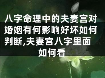 八字命理中的夫妻宫对婚姻有何影响好坏如何判断,夫妻宫八字里面如何看