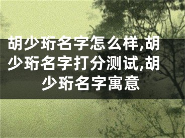 胡少珩名字怎么样,胡少珩名字打分测试,胡少珩名字寓意