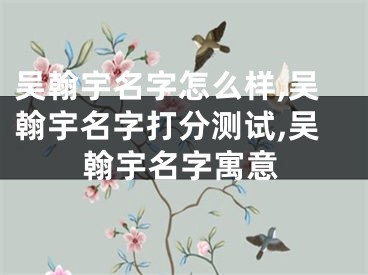 吴翰宇名字怎么样,吴翰宇名字打分测试,吴翰宇名字寓意