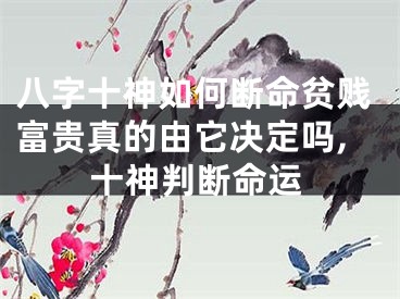 八字十神如何断命贫贱富贵真的由它决定吗,十神判断命运