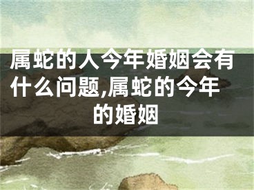 属蛇的人今年婚姻会有什么问题,属蛇的今年的婚姻