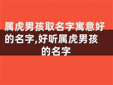 属虎男孩取名字寓意好的名字,好听属虎男孩的名字