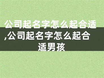 公司起名字怎么起合适,公司起名字怎么起合适男孩