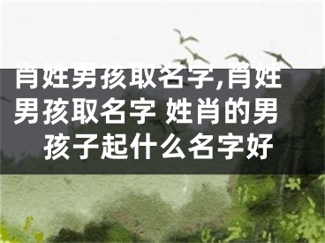 肖姓男孩取名字,肖姓男孩取名字 姓肖的男孩子起什么名字好