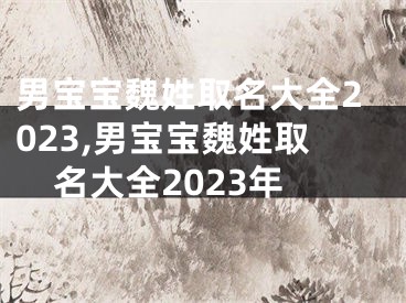 男宝宝魏姓取名大全2023,男宝宝魏姓取名大全2023年
