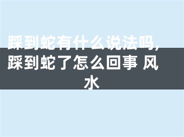 踩到蛇有什么说法吗,踩到蛇了怎么回事 风水