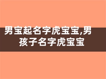 男宝起名字虎宝宝,男孩子名字虎宝宝