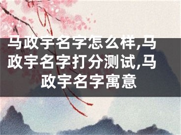 马政宇名字怎么样,马政宇名字打分测试,马政宇名字寓意