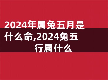 2024年属兔五月是什么命,2024兔五行属什么