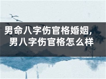 男命八字伤官格婚姻,男八字伤官格怎么样