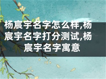杨宸宇名字怎么样,杨宸宇名字打分测试,杨宸宇名字寓意