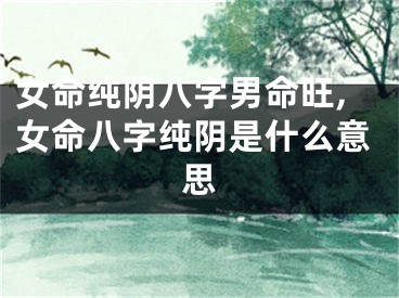 女命纯阴八字男命旺,女命八字纯阴是什么意思