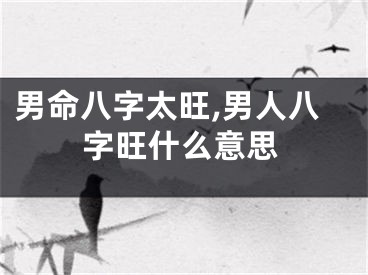 男命八字太旺,男人八字旺什么意思