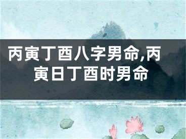 丙寅丁酉八字男命,丙寅日丁酉时男命