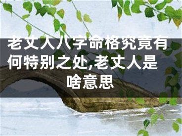 老丈人八字命格究竟有何特别之处,老丈人是啥意思