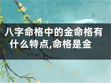 八字命格中的金命格有什么特点,命格是金