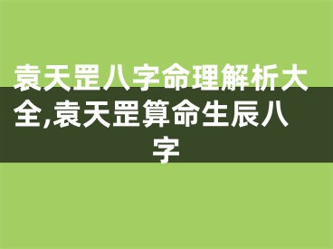 袁天罡八字命理解析大全,袁天罡算命生辰八字