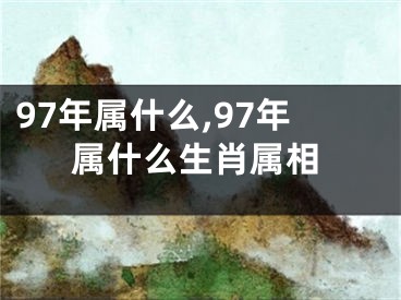 97年属什么,97年属什么生肖属相