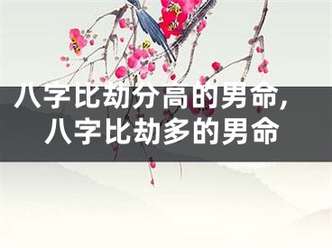 八字比劫分高的男命,八字比劫多的男命
