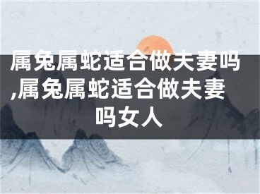 属兔属蛇适合做夫妻吗,属兔属蛇适合做夫妻吗女人