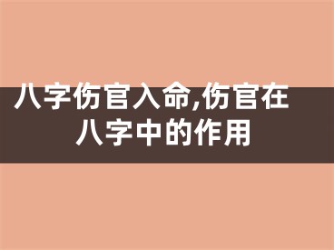 八字伤官入命,伤官在八字中的作用