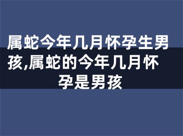属蛇今年几月怀孕生男孩,属蛇的今年几月怀孕是男孩