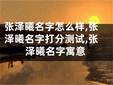 张泽曦名字怎么样,张泽曦名字打分测试,张泽曦名字寓意