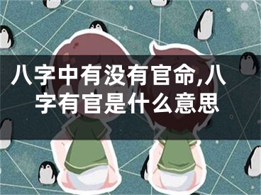 八字中有没有官命,八字有官是什么意思