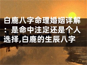 白鹿八字命理婚姻详解：是命中注定还是个人选择,白鹿的生辰八字