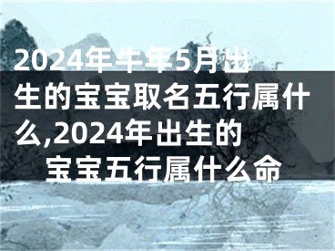 2024年牛年5月出生的宝宝取名五行属什么,2024年出生的宝宝五行属什么命