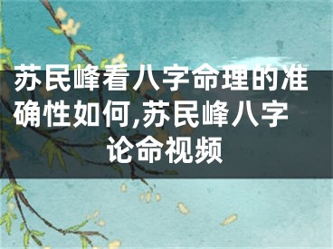 苏民峰看八字命理的准确性如何,苏民峰八字论命视频