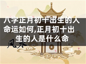 八字正月初十出生的人命运如何,正月初十出生的人是什么命