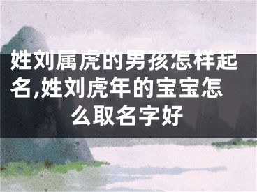 姓刘属虎的男孩怎样起名,姓刘虎年的宝宝怎么取名字好