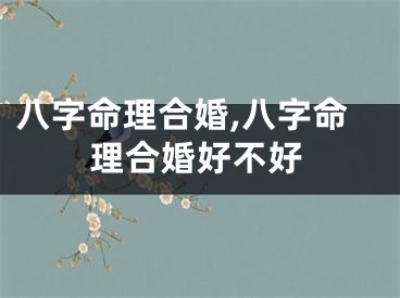 八字命理合婚,八字命理合婚好不好