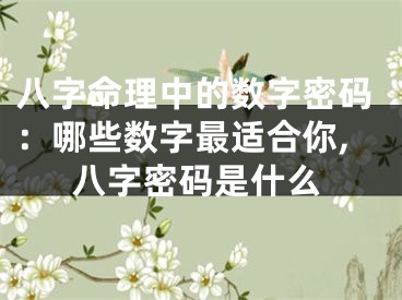 八字命理中的数字密码：哪些数字最适合你,八字密码是什么
