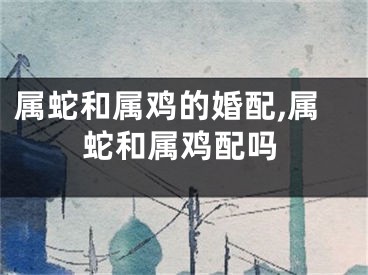 属蛇和属鸡的婚配,属蛇和属鸡配吗