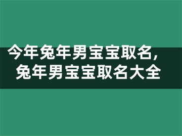 今年兔年男宝宝取名,兔年男宝宝取名大全
