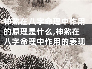 神煞在八字命理中作用的原理是什么,神煞在八字命理中作用的表现