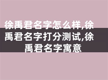 徐禹君名字怎么样,徐禹君名字打分测试,徐禹君名字寓意