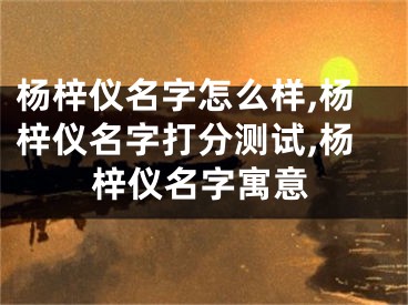 杨梓仪名字怎么样,杨梓仪名字打分测试,杨梓仪名字寓意