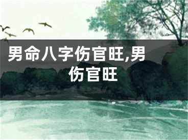 男命八字伤官旺,男 伤官旺